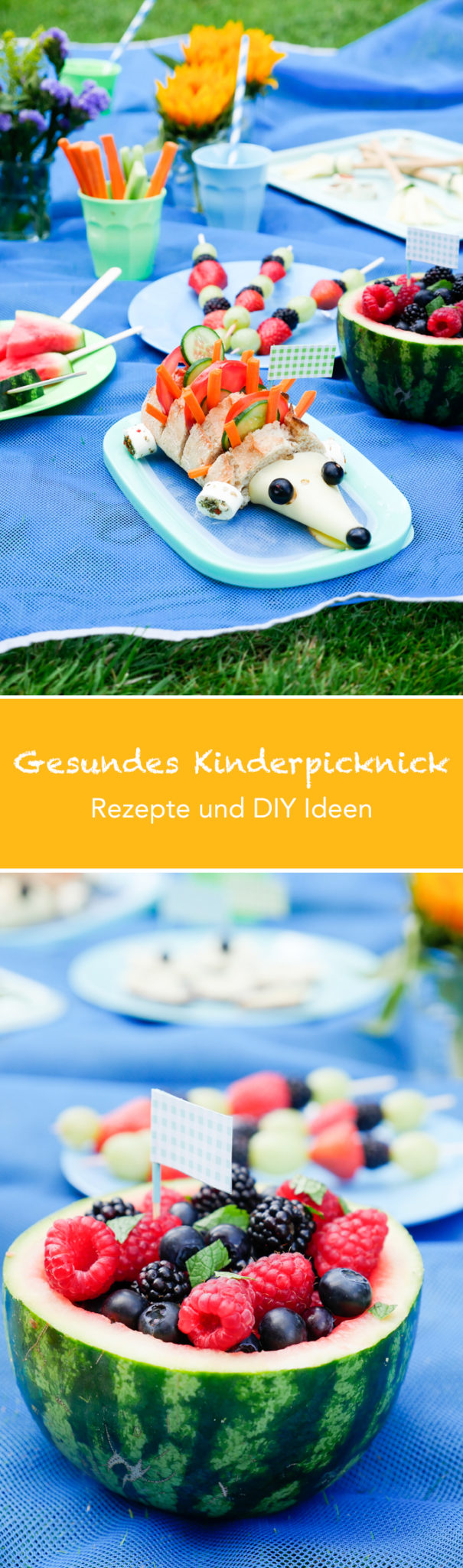  Healthy Kid's Picnic - Recipes and DIY Ideas 